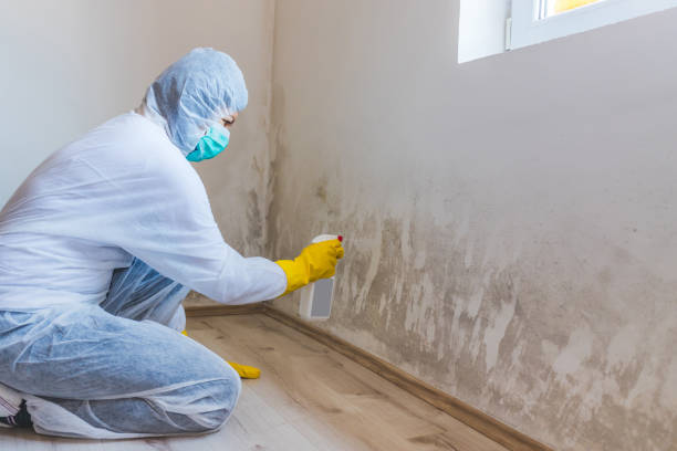 Mold inspector in Cedar Grove performing thermal imaging